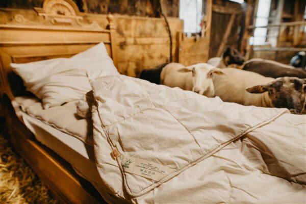Schafwoll-Duvet 160 x 210cm